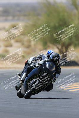 media/May-14-2023-SoCal Trackdays (Sun) [[024eb53b40]]/Turn 5 Tree of Life (1125am)/